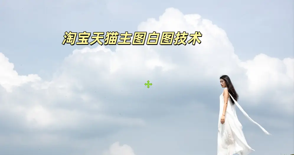 淘宝天猫主图白图技术-如鱼得水